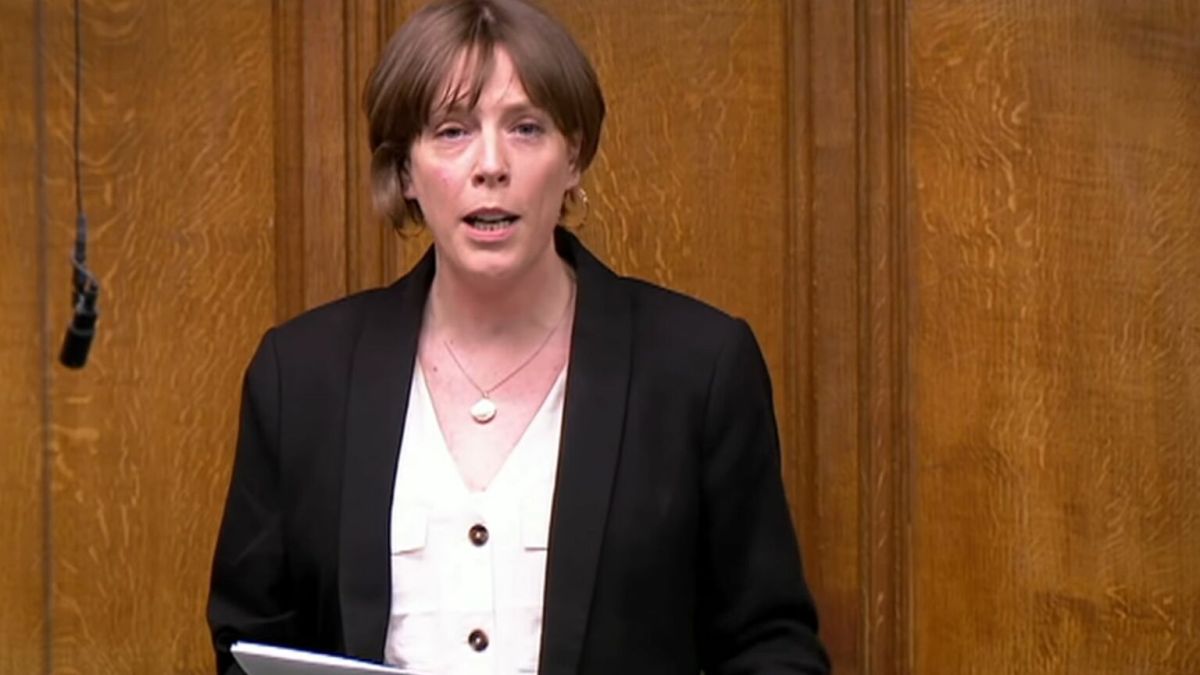 Jess phillips labour peers bullying harassment suspension lester